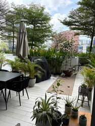 Spottiswoode Park (D2), Apartment #557743001